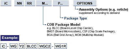 COB Package